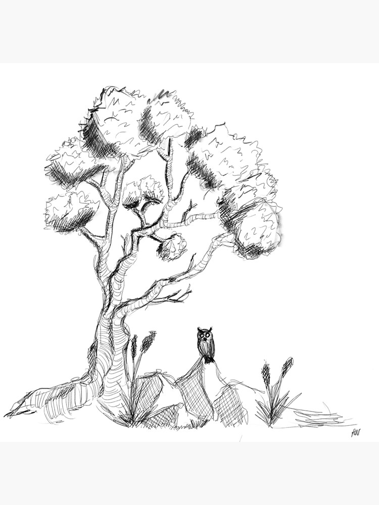 The Tree and the Owl   by ainikolov