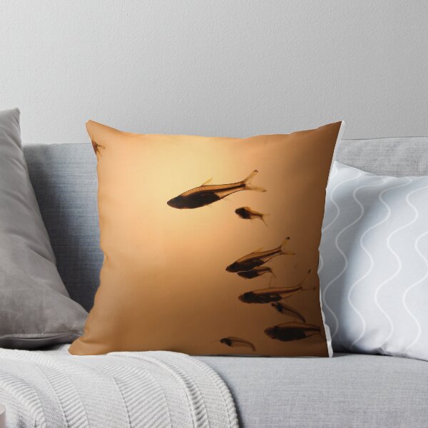 Item preview, Follow Me. San Diego Seaworld Aquarium. 2011  designed and sold by Igor Pozdnyakov.
