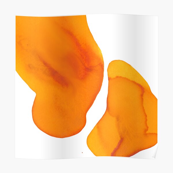 Orange Watercolor Poster