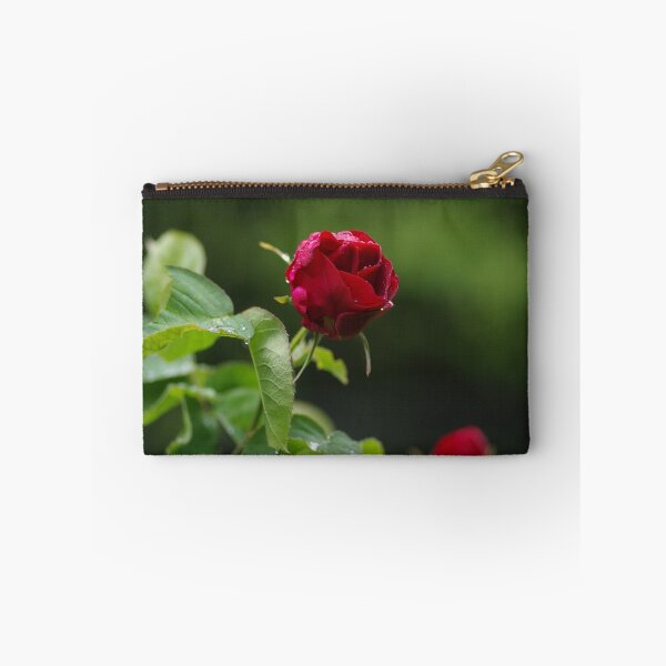 Item preview, Red rose designed and sold by zihniophoto.
