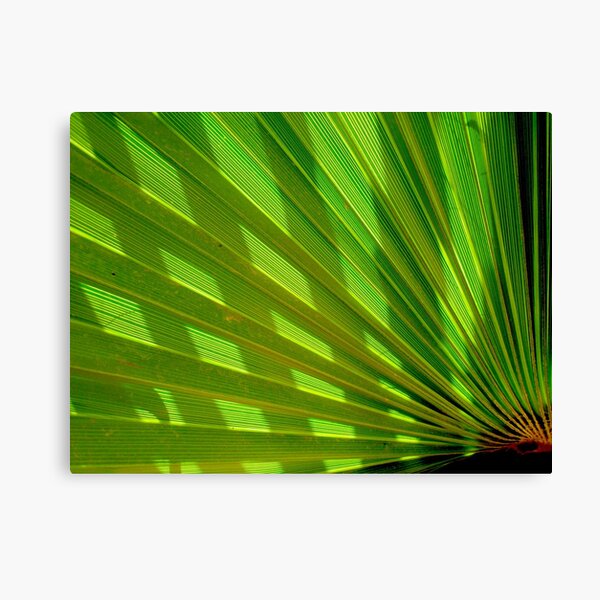 checkerGreen Canvas Print