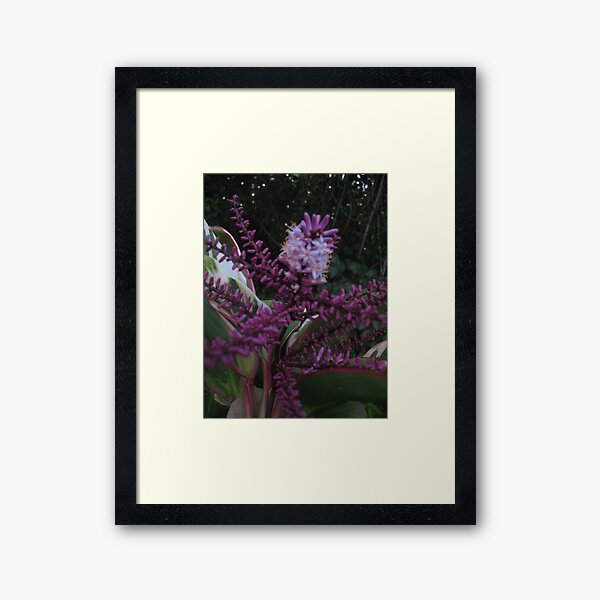 Purple & Green, You Know What I Mean? Framed Art Print