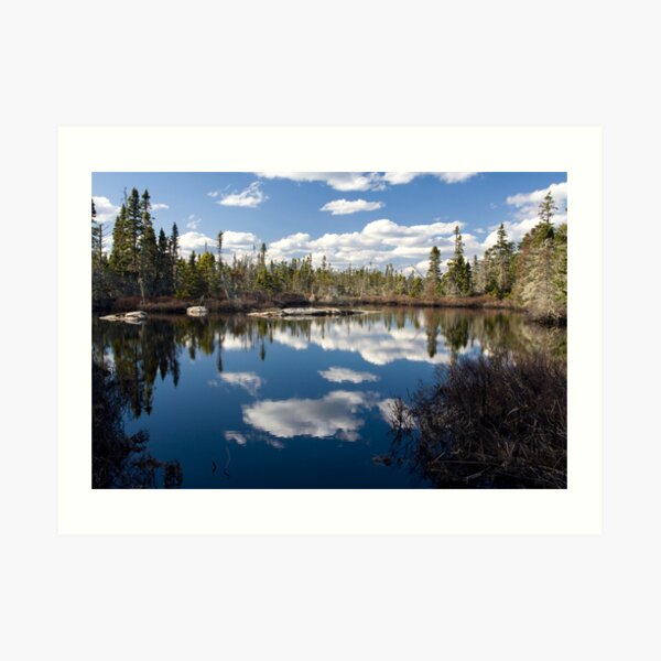 Coastal Bog Art Print