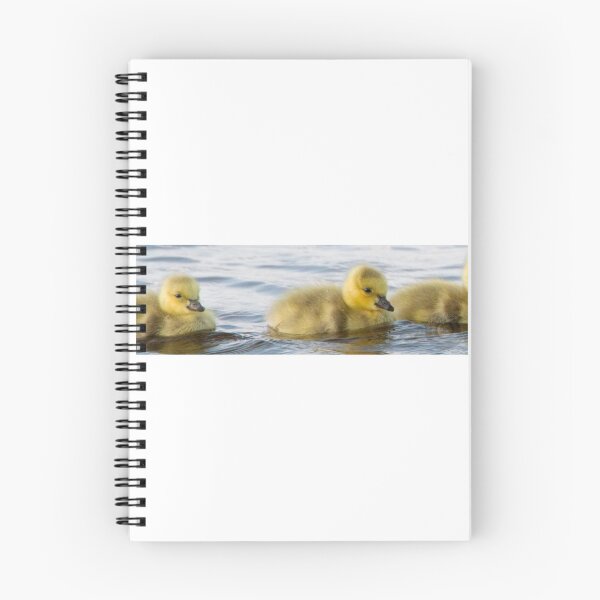 Item preview, Baby Geese designed and sold by SoulMatesPhoto.