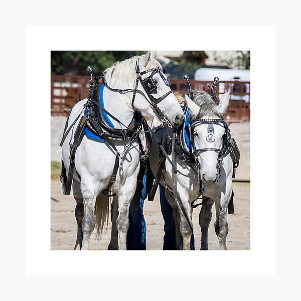 Aperçu de l'œuvre Cheval de trait créée et vendue par 3QuartersToday.