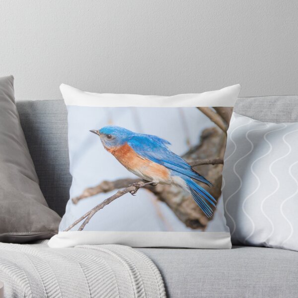 Artikelvorschau, Blauer Vogel entworfen und verkauft von SoulMatesPhoto.
