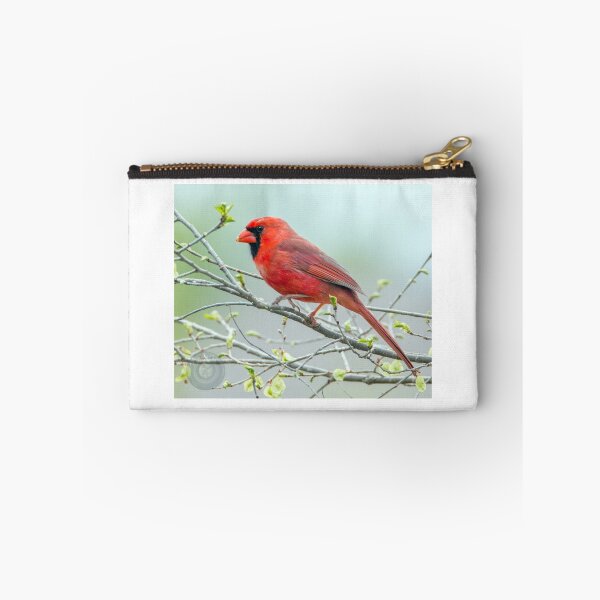 Item preview, Cardinal designed and sold by SoulMatesPhoto.