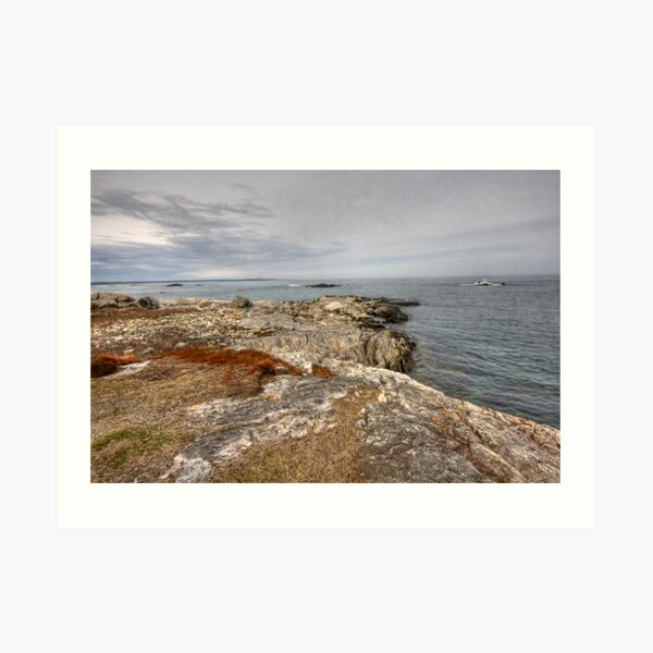 From Land to Sea Art Print