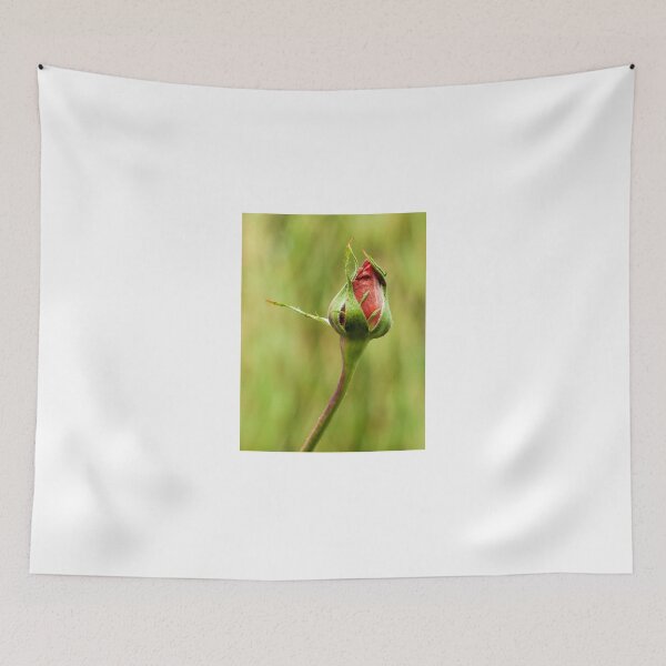 Item preview, Rose - Bud just starting to open designed and sold by DPalmer.