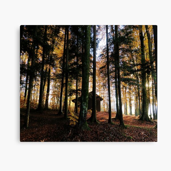 Haus in Autumn forest Canvas Print