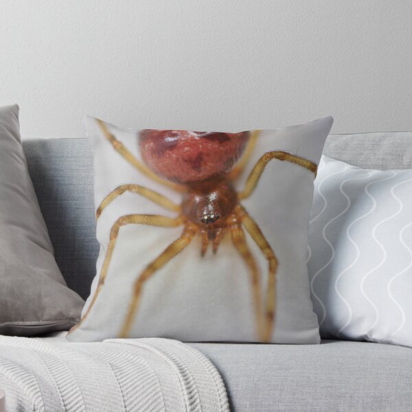 Artikelvorschau, Spinne entworfen und verkauft von SoulMatesPhoto.