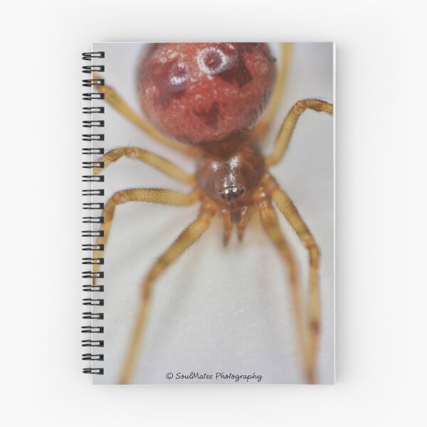 Item preview, Spider designed and sold by SoulMatesPhoto.