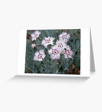 Coreopsis Swirl Greeting Card