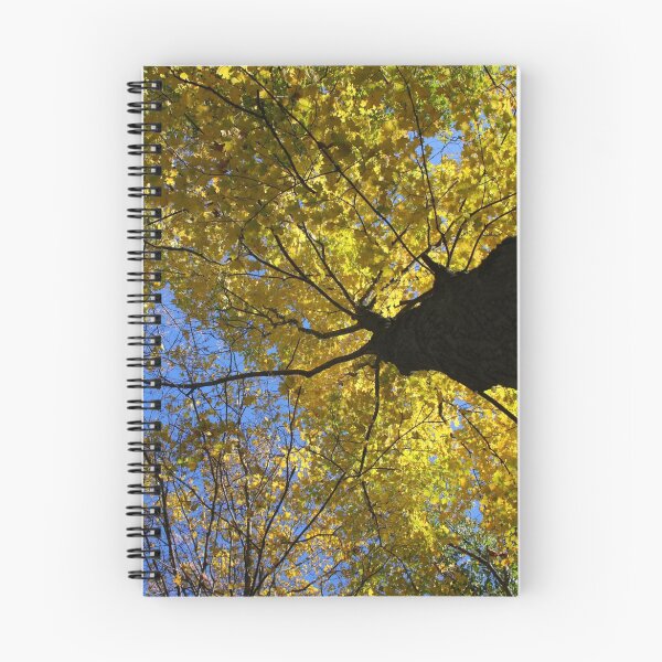 Item preview, Autumn Leave - Houston Woods Ohio designed and sold by Tony Wilder.