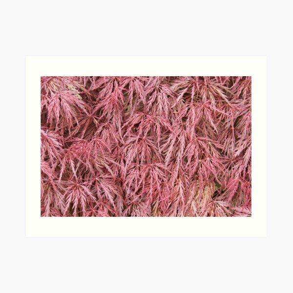 Crimson Cascade Art Print