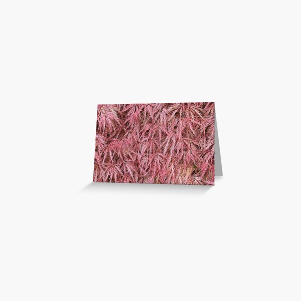 Crimson Cascade Greeting Card