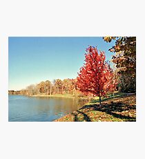 The Color of Fall Photographic Print