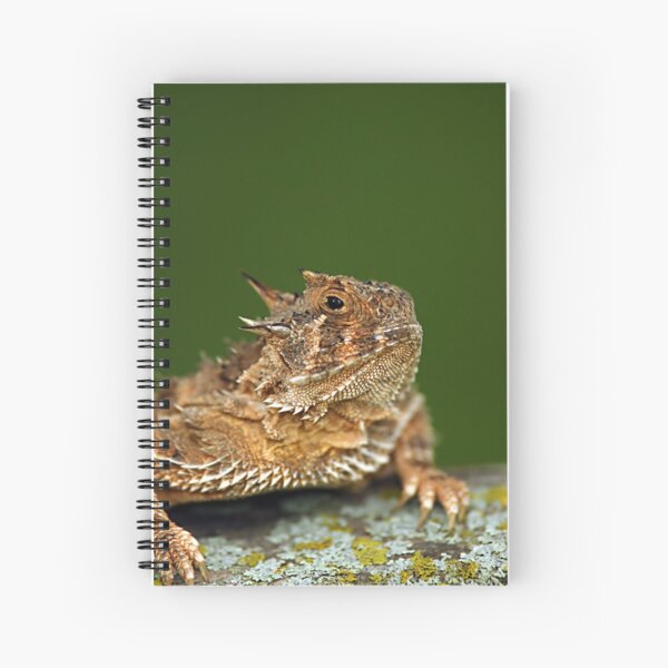 Item preview, Texas Horned Lizard designed and sold by Samantha Dean.