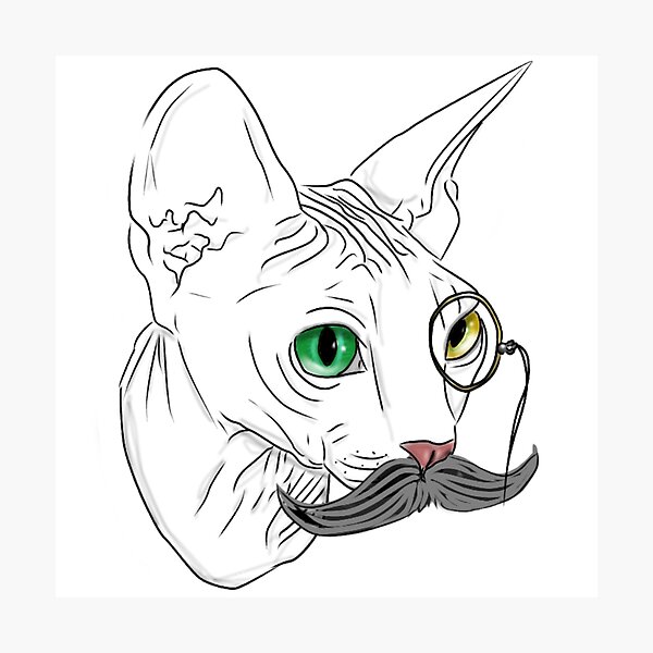 Sphynx Cat Print Angry Sphynx Cat Printable Photorealistic Cat