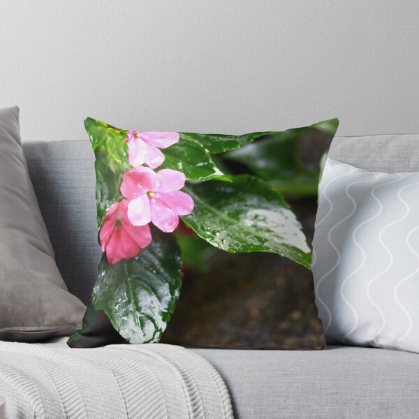 Item preview, After the rain  designed and sold by lensbaby.