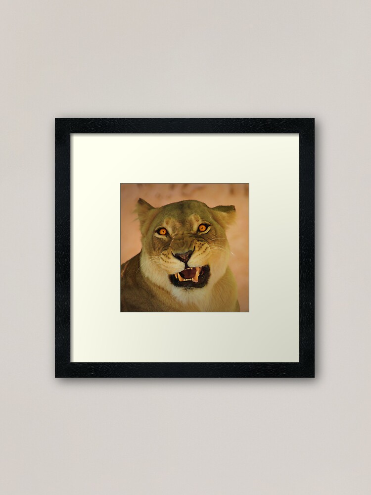 Alternate view of "what you looking at" ? Framed Art Print