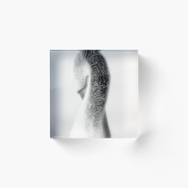 Item preview, Pelican for Shows designed and sold by Dean Wiles.