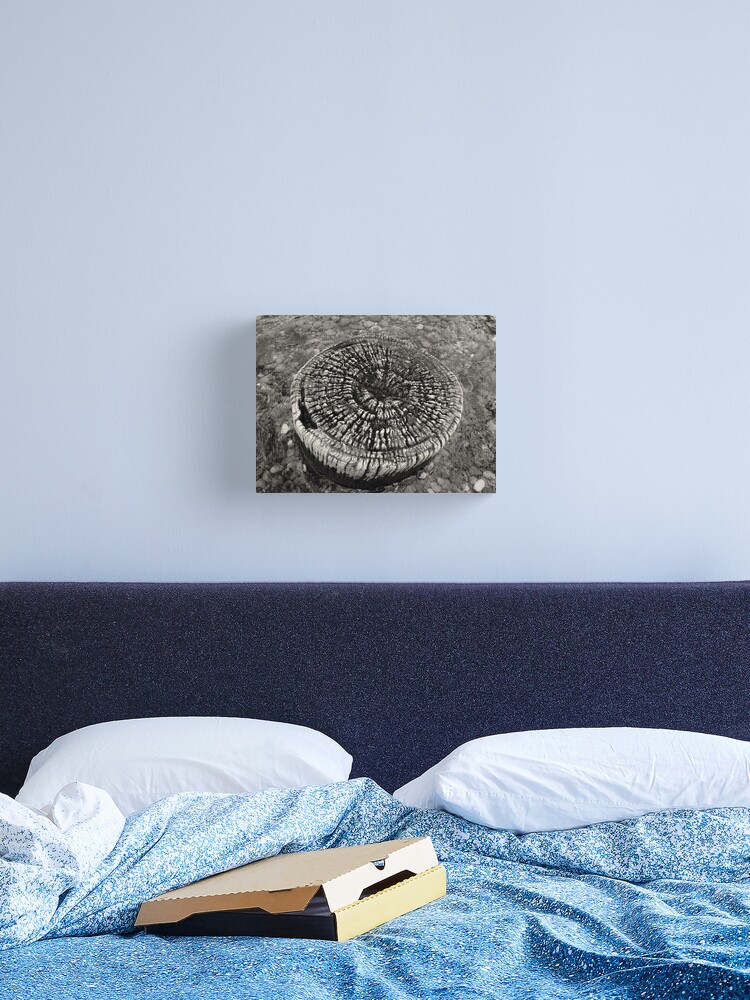 Thumbnail 2 of 3, Canvas Print, Lost Jetty designed and sold by ronmoss.