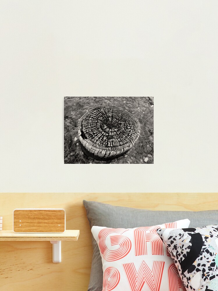 Thumbnail 2 of 3, Photographic Print, Lost Jetty designed and sold by ronmoss.