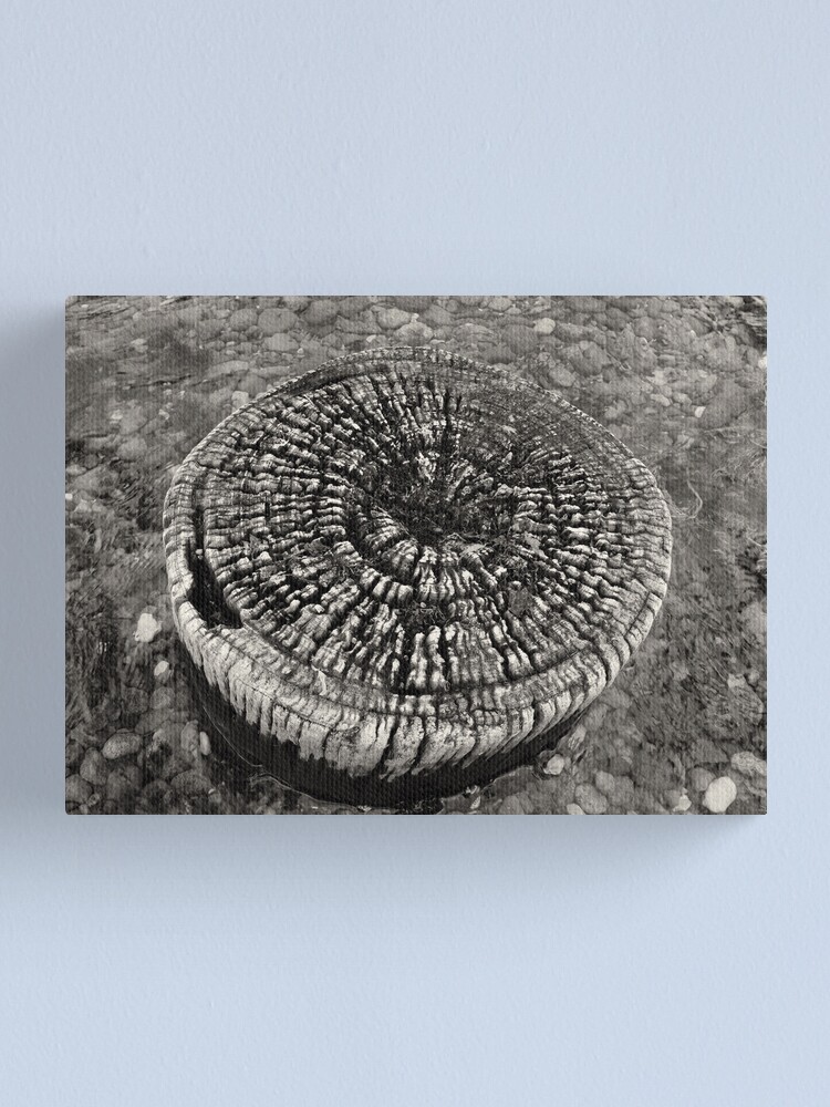 Alternate view of Lost Jetty Canvas Print
