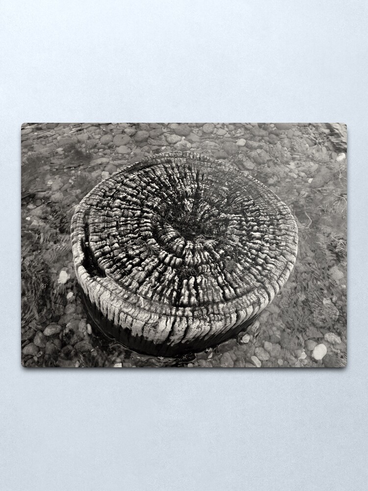Alternate view of Lost Jetty Metal Print