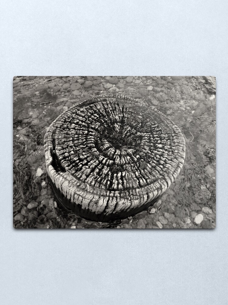 Alternate view of Lost Jetty Metal Print