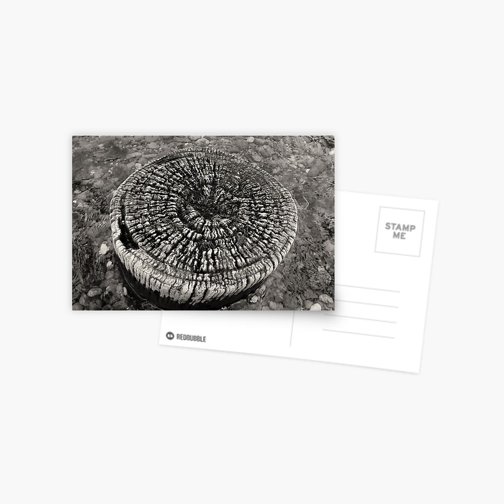 Item preview, Postcard designed and sold by ronmoss.