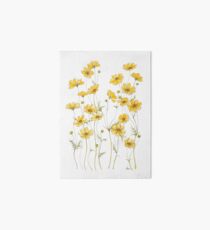Lámina de exposición Flores amarillas de cosmos