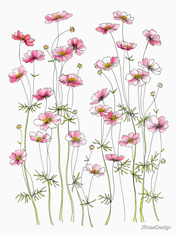 Flores rosadas del cosmos de JRoseDesign