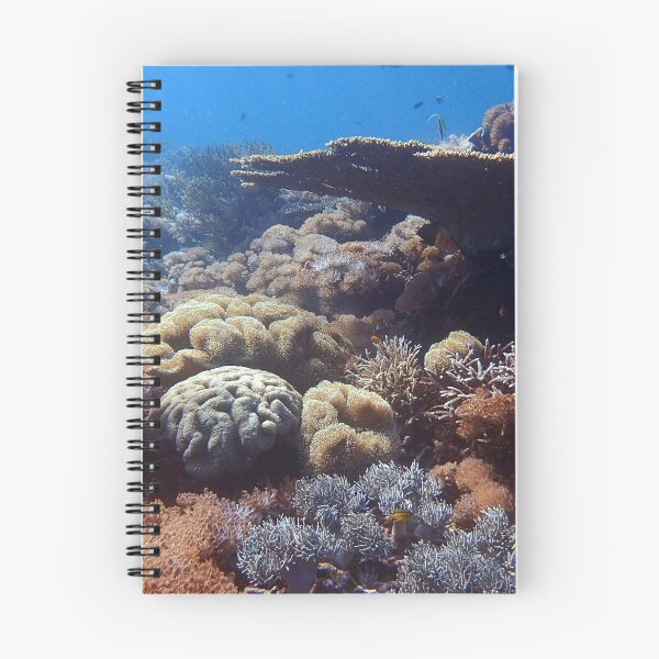 Item preview, Coral Garden at Komodo  designed and sold by Froukjeakkerman.