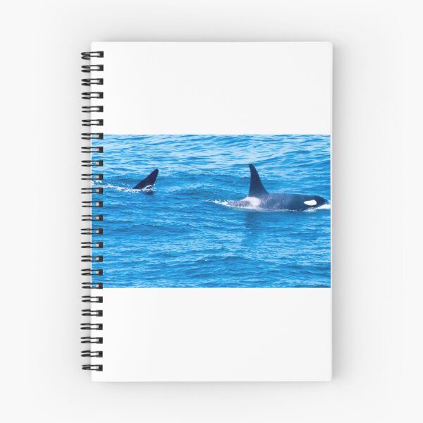 Item preview, Killer Whale, Orca Dolphin designed and sold by pinkT.