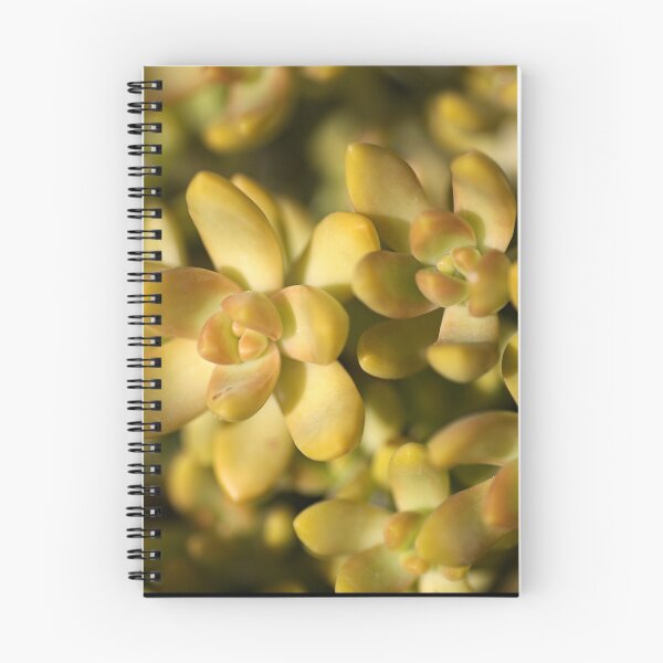 Item preview, Succulent designed and sold by Joy Watson - Natural Light Photography .