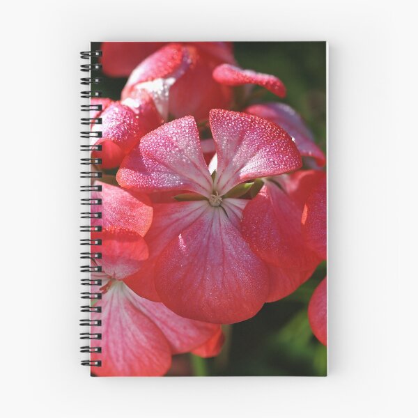 Item preview, Geraniums Kissed designed and sold by Joy Watson - Natural Light Photography .