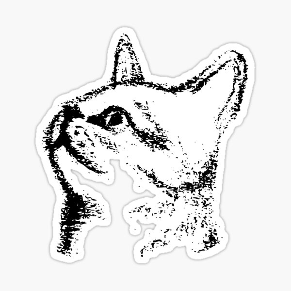 kitten cat digitized sketch looking up Sticker