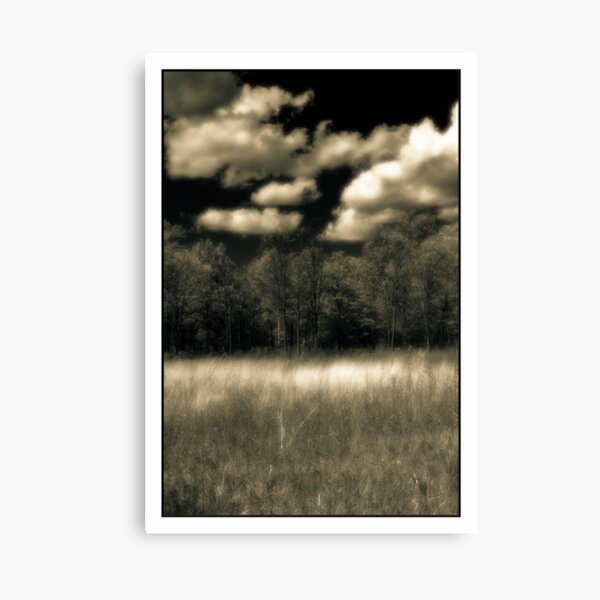 Prairie In Spring Kitty Todd Nature Preserve Canvas Print