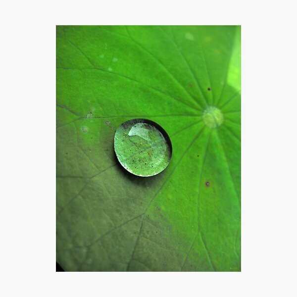 Aperçu de l'œuvre Droplet créée et vendue par purposemaker909.