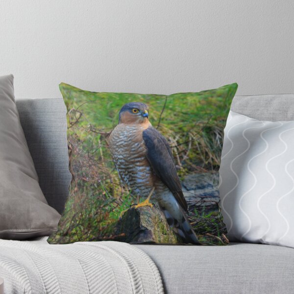 Item preview, Sparrowhawk #14 designed and sold by Alexanderargyll.