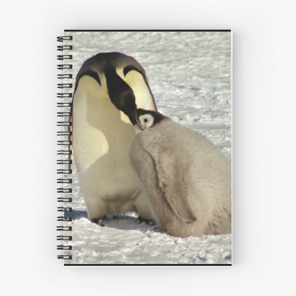 Item preview, "Feed Me Mum" - Emperor Penguins, Antarctica  designed and sold by Carole-Anne.