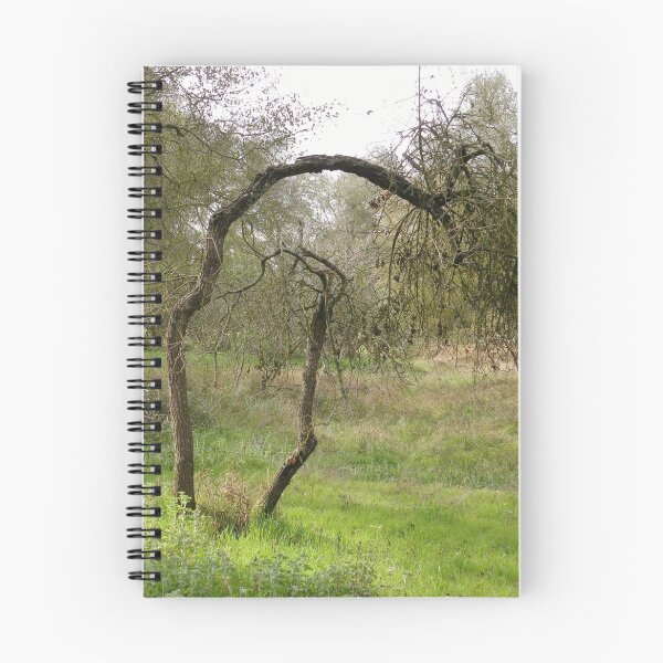 Item preview, Protective Mother Tree designed and sold by Martha Sherman.