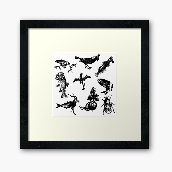 Animal patterns Framed Art Print