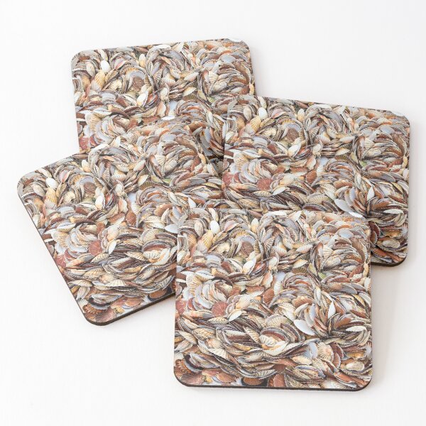 Item preview, Scallop Shells designed and sold by Dave Hare Photography.