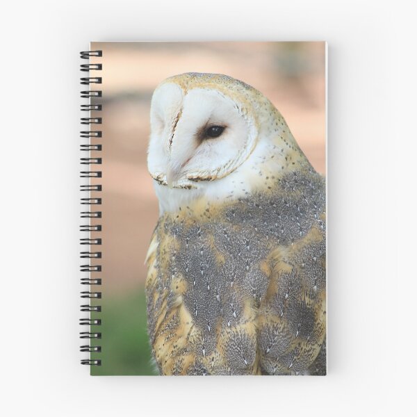 Item preview, Barn Owl - "Edgar" designed and sold by Alyce Taylor.
