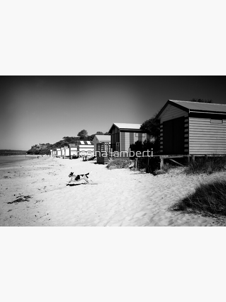 "Mornington Peninsula " Framed Art Print for Sale by RosinaLamberti