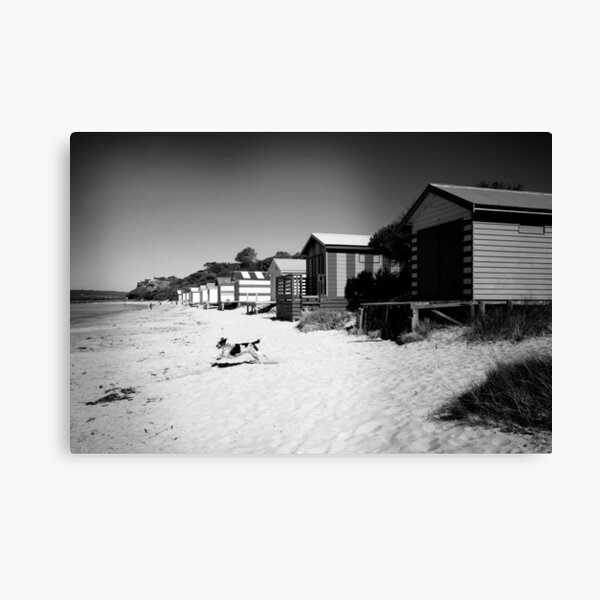 Mornington Peninsula Canvas Print