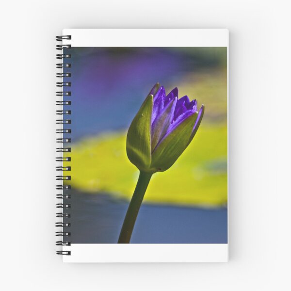 Item preview, Purple, water lily designed and sold by Kornrawiee.
